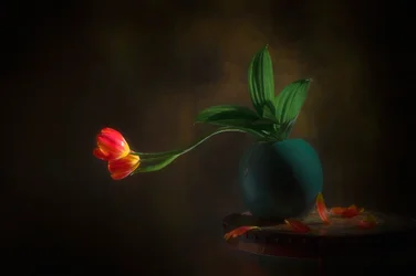 Nature morte aux tulipes gracieuses