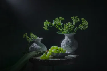 Nature morte aux raisins verts