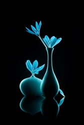 Nature morte bleue lumineuse