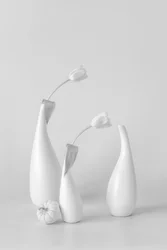 Tulipes blanches minimalistes