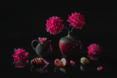Dahlias et prunes mélancoliques