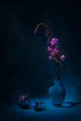 Nature morte à l