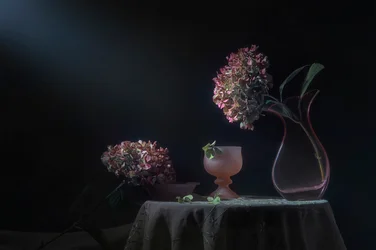 Nature morte mélancolique aux hortensias