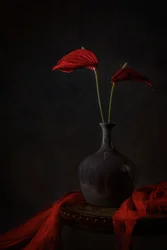 Anthuriums rouges mélancoliques