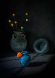 Vases « Moody Still Life »