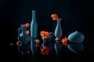 Fleurs d
