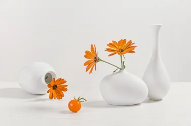 Nature morte moderne aux fleurs d