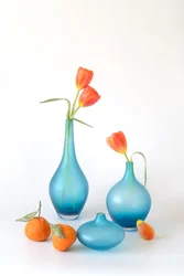 Tulipes orange dans des vases bleus
