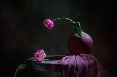 Nature morte aux tulipes roses