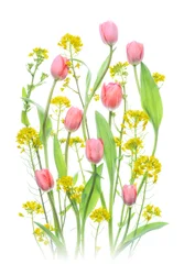 Tulipes roses et fleurs jaunes
