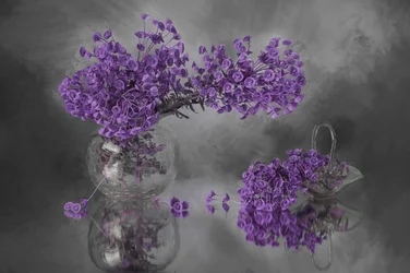 Reflet des fleurs violettes