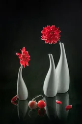Dahlia rouges et vases