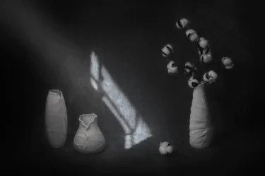 Nature morte sereine au coton