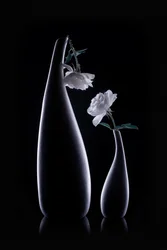 Vases d