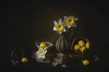 Jonquilles de printemps et citrons