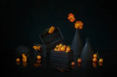 Nature morte « Récolte éclatante »