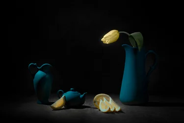Nature morte bleue à la tulipe jaune
