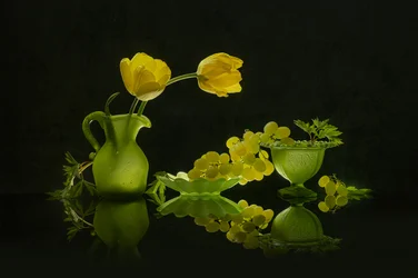 Tulipes jaunes et raisins verts