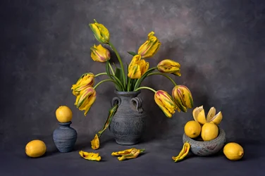 Tulipes jaunes et citrons