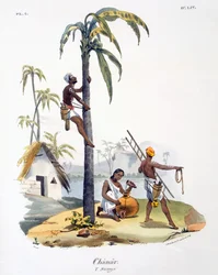 Un homme de la caste Nadar grimpant à un palmier, 1827-35