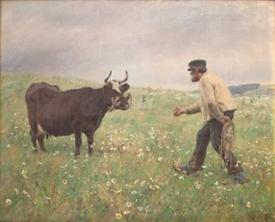 Une vache en liberté