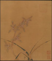 Orchidées
