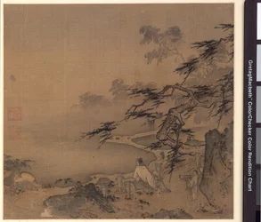 Observation des cerfs près d