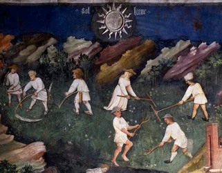 Fenaison (détail)