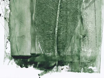 Résumé : Forêt verte