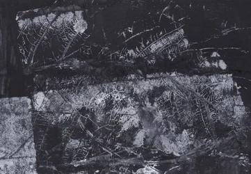 Texture organique sombre