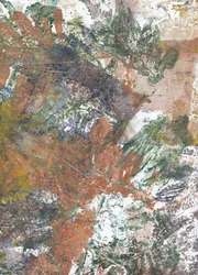 Impressions de feuilles aux accents terreux