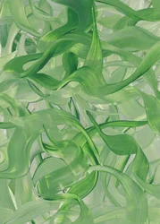 Tourbillons verts fluides