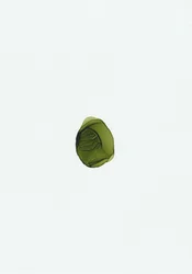 Fluide vert bio