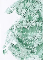 Texture verte bio