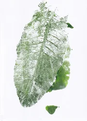 Imprimé feuilles organique