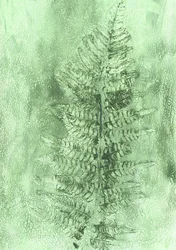 Feuille de fougère délicate