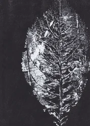 Impression de feuille blanche