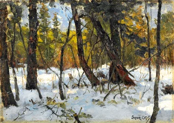 Bois en hiver
