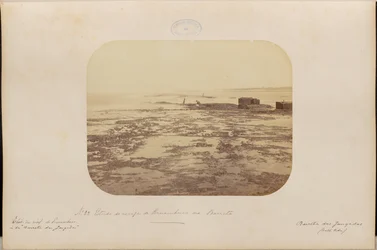 Étude du récif de Pernambouc à Barreta