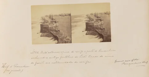 Vue stéréoscopique du récif jusqu