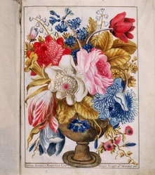 Illumination de la "Bolla della Agregazione auta dalla Venerabile Archiconfraternita di San Rocco à Rome"