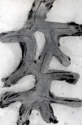 Ramas, 2014 (encre sur papier)