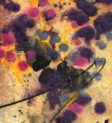 Transformation, 2000 (techniques mixtes)
