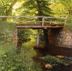 Un ruisseau forestier avec un pont en bois