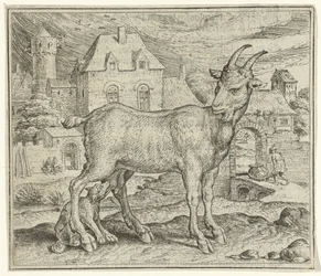 Fable de la chèvre et du jeune loup