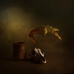 Nature morte d
