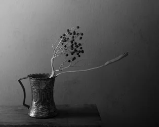 Nature morte aux baies noires