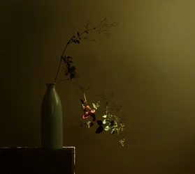 Nature morte botanique mélancolique