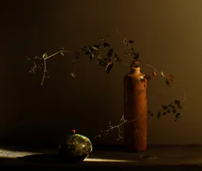 Nature morte rustique avec une coccinelle