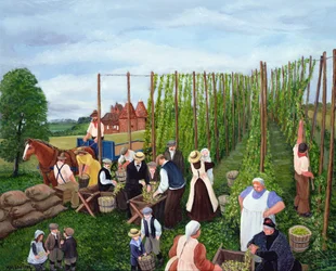 Cueillette du houblon